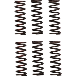 RESSORTS D’EMBRAYAGE PRO CIRCUIT HONDA CRF 450 R 2021-2024 CRF 450 RWE 2021-2022