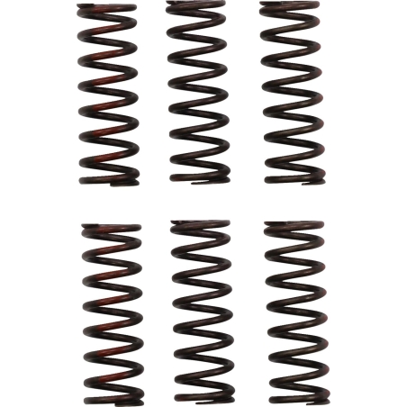 RESSORTS D’EMBRAYAGE PRO CIRCUIT HONDA CRF 450 R 2021-2024 CRF 450 RWE 2021-2022