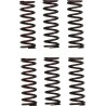RESSORTS D’EMBRAYAGE PRO CIRCUIT HONDA CRF 450 R 2021-2024 CRF 450 RWE 2021-2022