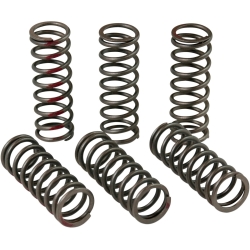RESSORTS D’EMBRAYAGE PRO CIRCUIT HONDA CRF 450 R 2013-2022 CRF 450 RX 2017