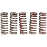 RESSORTS D’EMBRAYAGE PRO CIRCUIT HONDA CRF 250 R 2010-2017