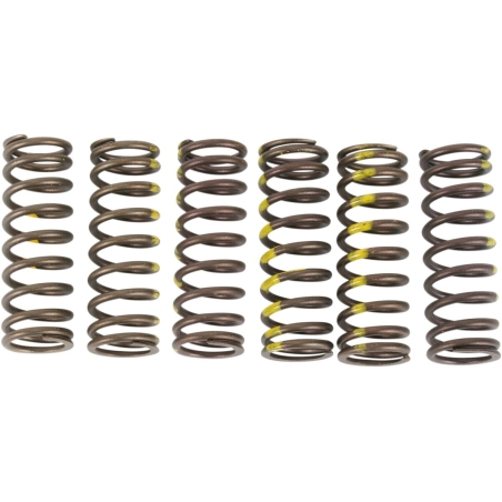 RESSORTS D’EMBRAYAGE PRO CIRCUIT SUZUKI RM-Z 450 2005-2019 RM-Z 450 E 2018-2019