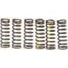 RESSORTS D’EMBRAYAGE PRO CIRCUIT SUZUKI RM-Z 450 2005-2019 RM-Z 450 E 2018-2019
