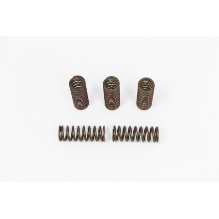 RESSORTS D’EMBRAYAGE PRO CIRCUIT HONDA CRF 250 R 2020-2021 CRF 250 RX 2020-2021