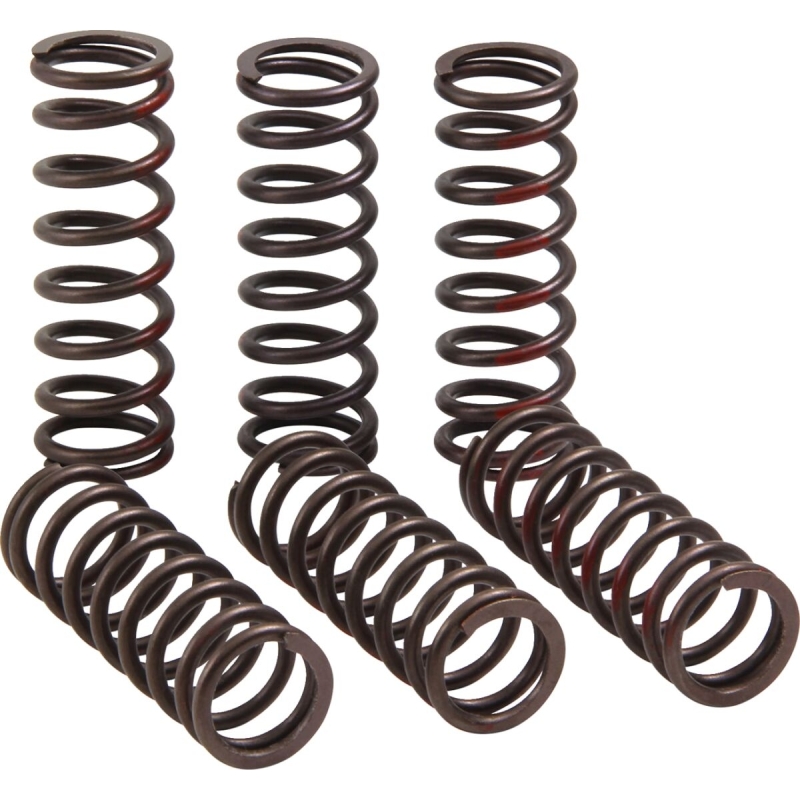RESSORTS D’EMBRAYAGE PRO CIRCUIT HONDA CRF 450 R 2021-2024 CRF 450 RWE 2021-2022