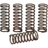 RESSORTS D’EMBRAYAGE PRO CIRCUIT HONDA CRF 250 R 2020-2021 CRF 250 RX 2020-2021